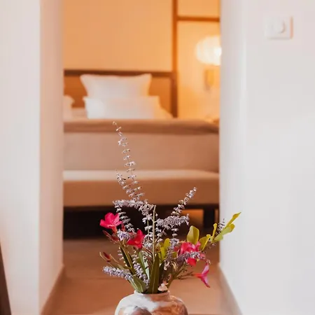 Kyoto, Experience Japonaise & Shower Xxl Au Coeur D'uzes ユゼ